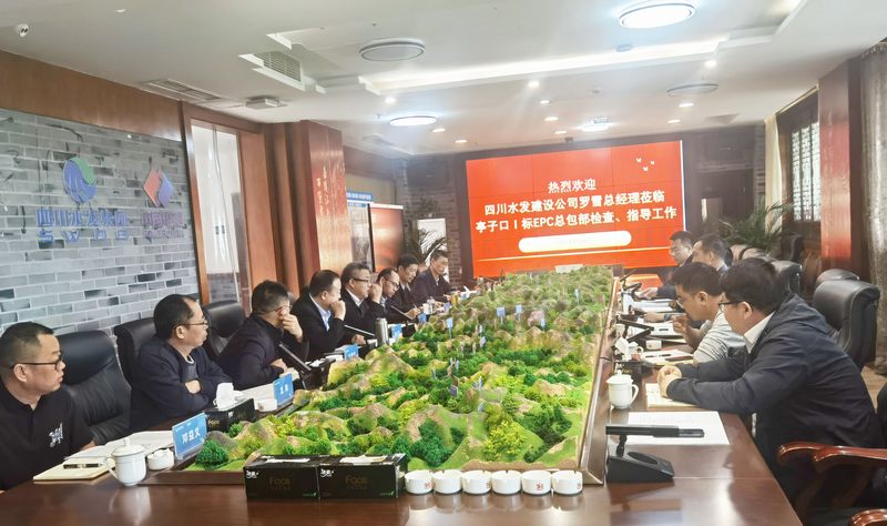 公司總經理羅雪率隊赴亭子口項目開展汛前安全檢查