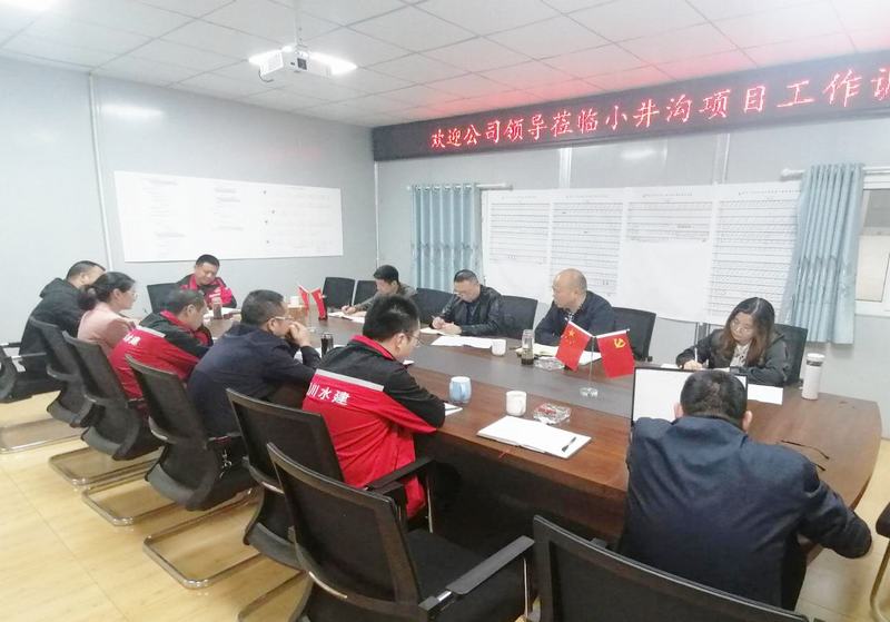 公司黨委書記、董事長(zhǎng)代勇一行到小井溝支渠工程項(xiàng)目開(kāi)展工作調(diào)研