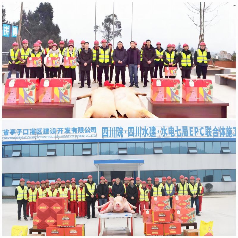 羅雪總經理一行赴亭子口項目開展調研慰問活動