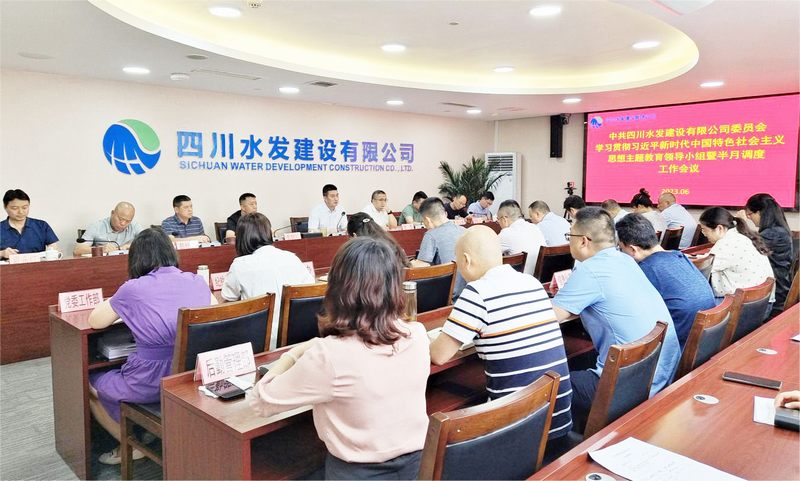 公司召開學習貫徹習近平新時代中國特色社會主義思想主題教育領導小組暨第三次調度工作會議