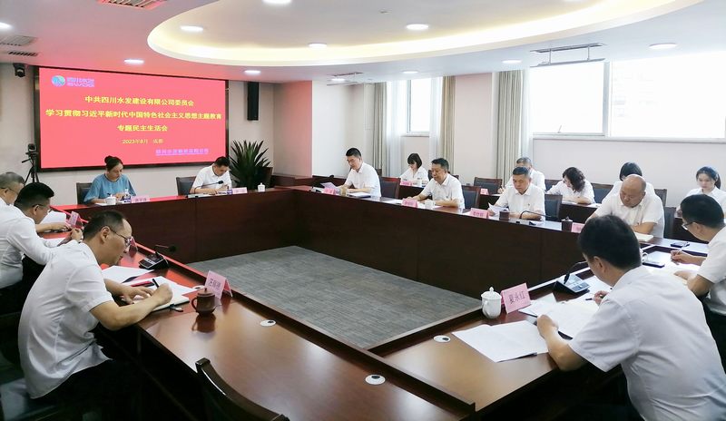 公司召開(kāi)主題教育專(zhuān)題民主生活會(huì)